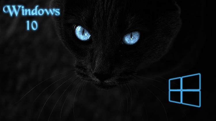 Cat%20Eyes%20Windows%2010%20