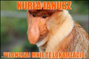 kurla-janusz_2018-07-31_16-56-43